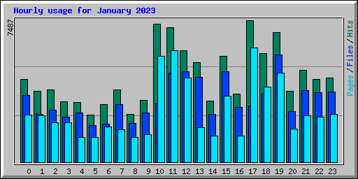 Hourly usage for January 2023