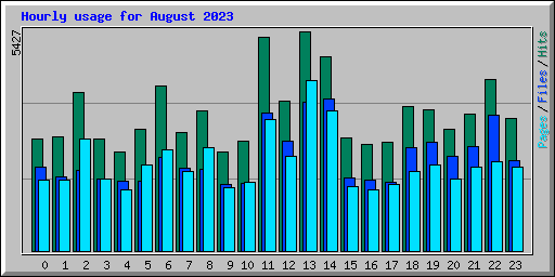 Hourly usage for August 2023