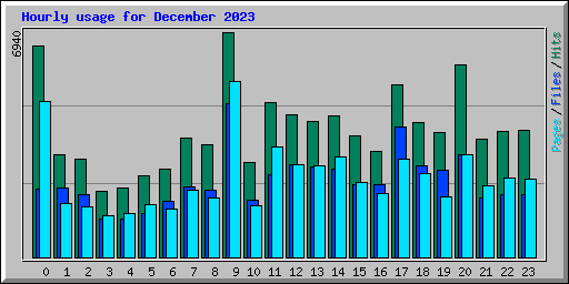 Hourly usage for December 2023