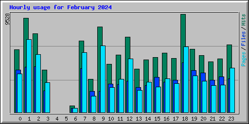 Hourly usage for February 2024