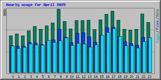 Hourly usage for April 2025