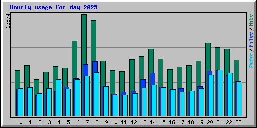 Hourly usage for May 2025
