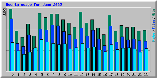 Hourly usage for June 2025