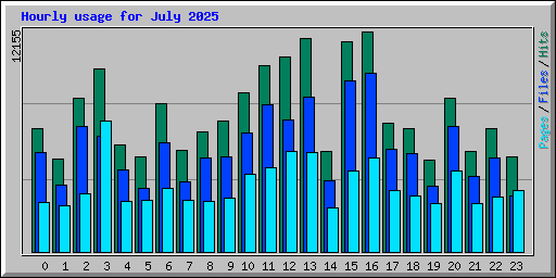 Hourly usage for July 2025