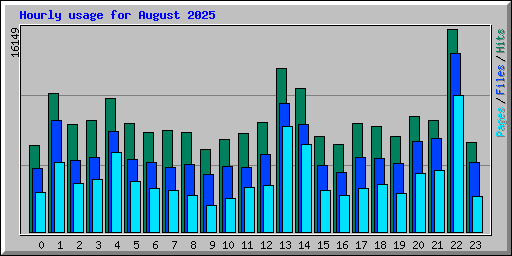 Hourly usage for August 2025