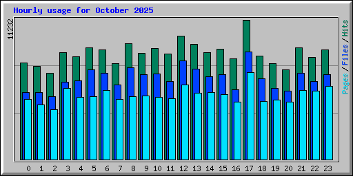 Hourly usage for October 2025