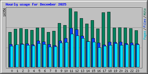 Hourly usage for December 2025