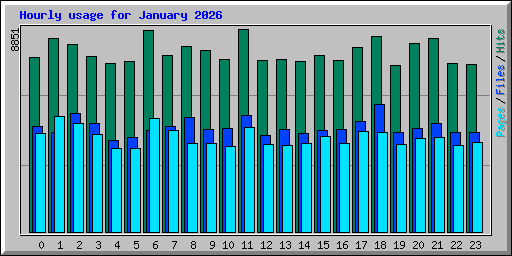 Hourly usage for January 2026